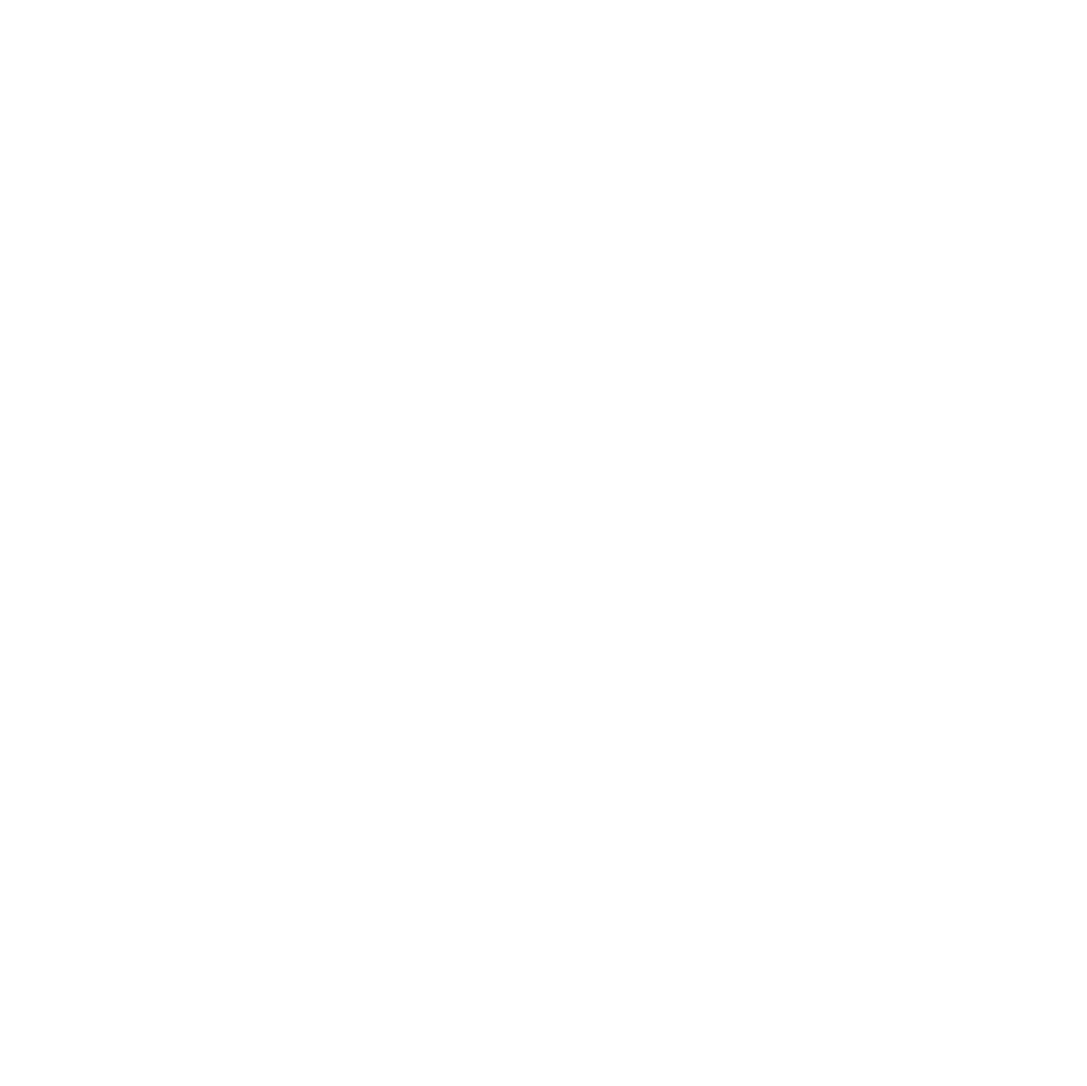 Accessible Icon